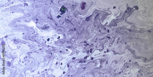 Transcendent Inks: A Mesmerizing Dive into the World of Liquid Art