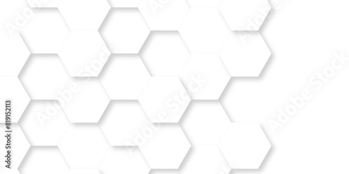 Abstract Vector pattern with hexagonal white and gray technology line paper background. Hexagonal 3d grid tile and mosaic structure mess cell. white and gray hexagon honeycomb geometric copy space.