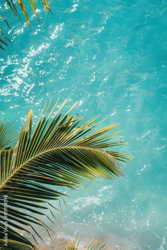 palm tree branch with sea background © MSTSANTA