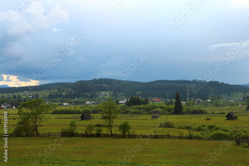 Wallpaper Mural A grassy field with trees and houses in the background Torontodigital.ca