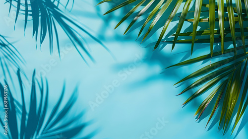 tropical palm leaves with shadow on blue background minimal nature summer styled flat lay free copy space for text