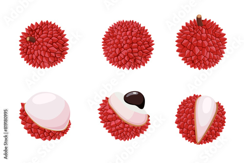 Lychee fruit vector Cartoon  isolated on white background