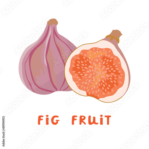 Cartoon card  with whole and cut fig fruit isolated on white background.Exotic plant of purple color with red pulp and seeds.Vector hand drawn design for use in banner template,poster,sticker.