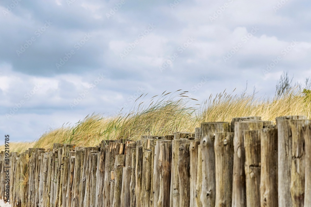 Fototapeta premium Fence made of logs with dune grass