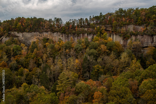 Canvas Print Red river gorge in the fall