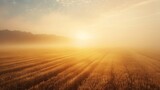 Golden sunrise over wheat field