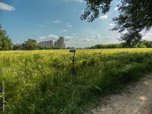 a smartphone mounted on a tripod is installed to photograph a landscape - a field of winter barley on the outskirts of a large city with multi-storey buildings on a sunny day in May
