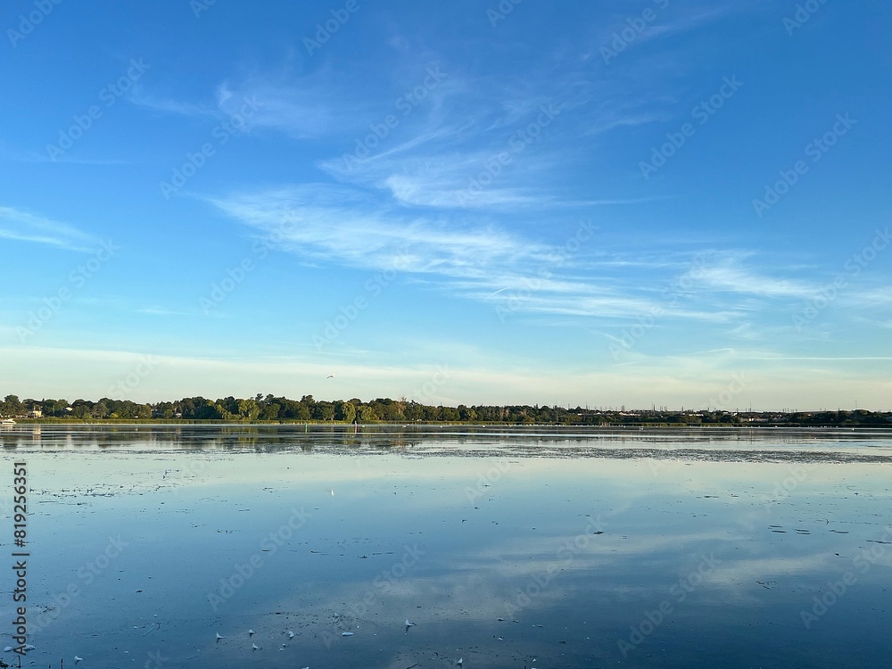 Fototapeta premium Blue Sky Trees Landscape