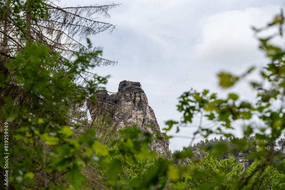A mountain is in the background with trees in the foreground. The mountain is covered in moss and has a rocky surface. The trees are green and lush, and the sky is cloudy A mountain is in the background with trees in the foreground. The mountain is covered in moss and has a rocky surface. The trees are green and lush, and the sky is cloudy