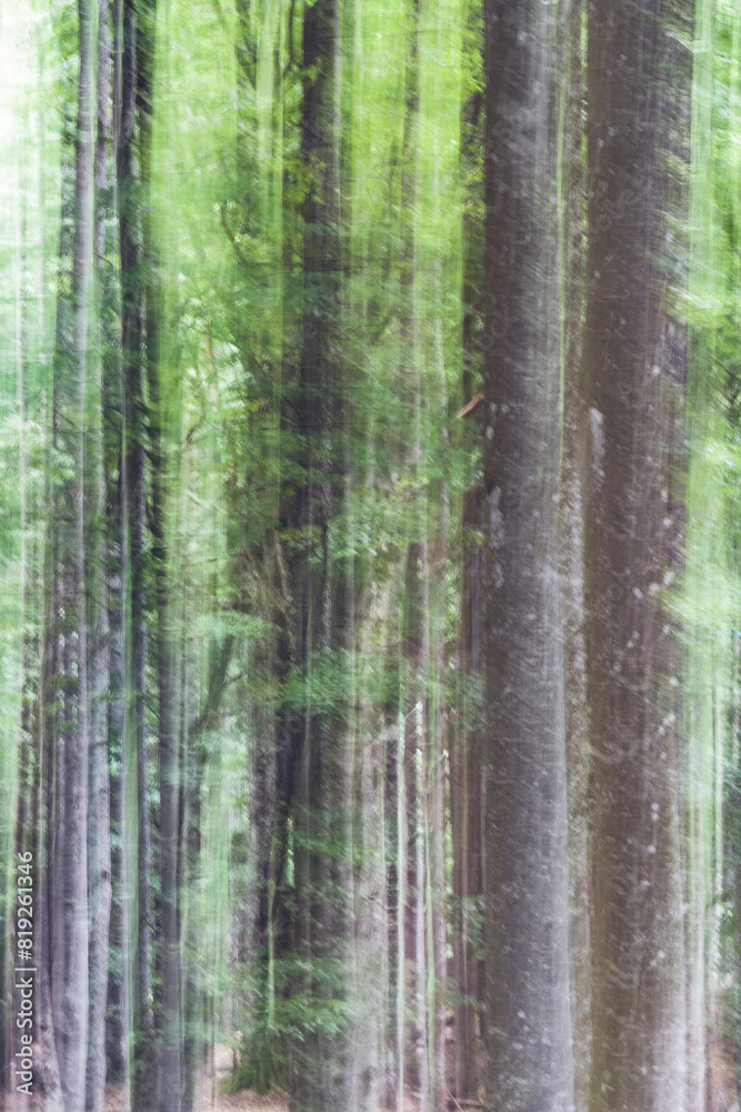 Abstract intentional camera movement photo with a forest. Moody eerie photographic art Abstract intentional camera movement photo with a forest. Moody eerie photographic art