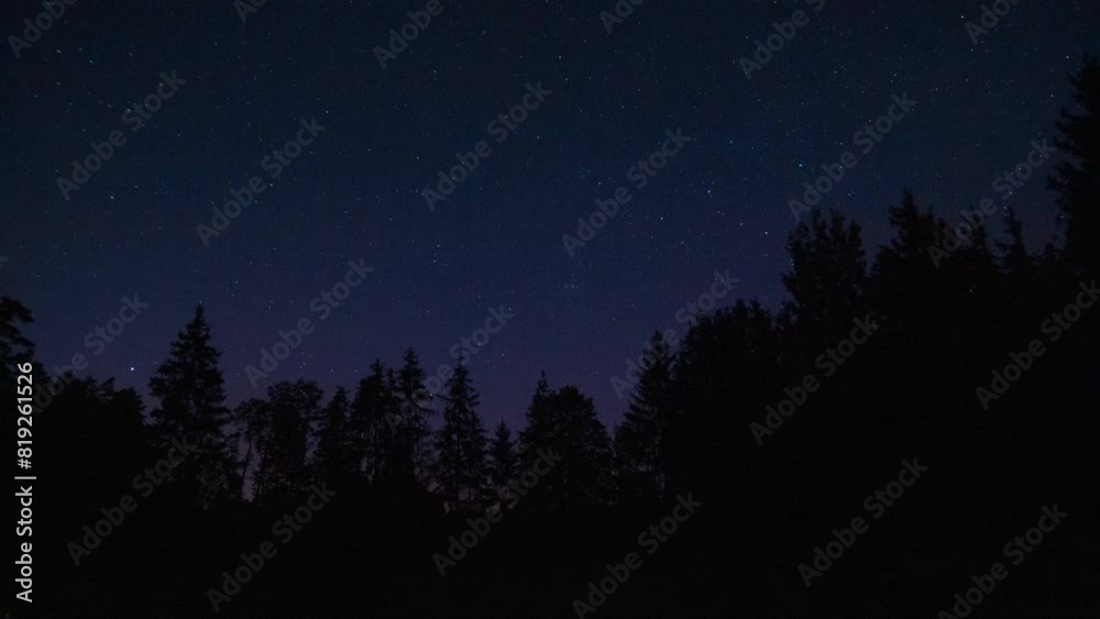 Night sky over forest. 4k time lapse with stars. Night sky over forest. 4k time lapse with stars.