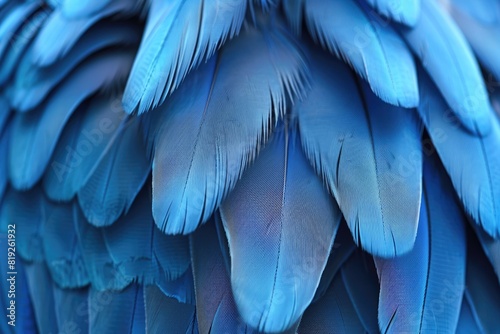 Blue Soft Background. Feathers of a Blue Bird on Blue Background