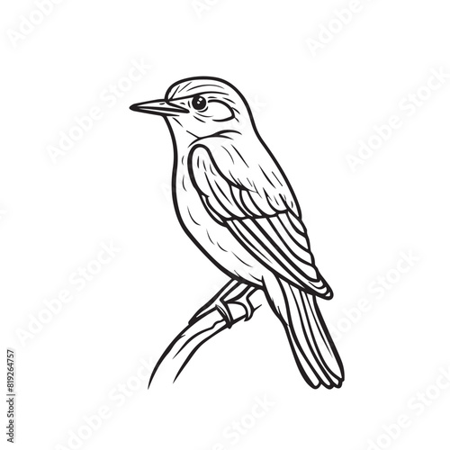 Cuckoo in cartoon, doodle style. Image for t-shirt, web, mobile apps and ui. Isolated 2d vector illustration in logo, icon, sketch style, Eps 10. AI Generative
