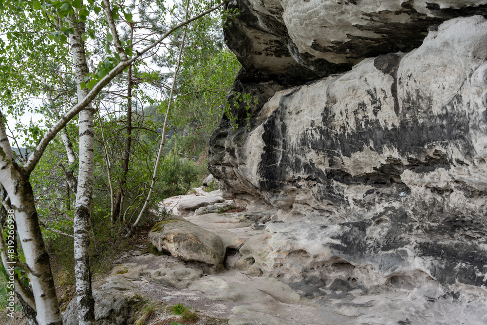 A rocky hillside with a tree in the foreground. The tree is bare and the hillside is covered in rocks