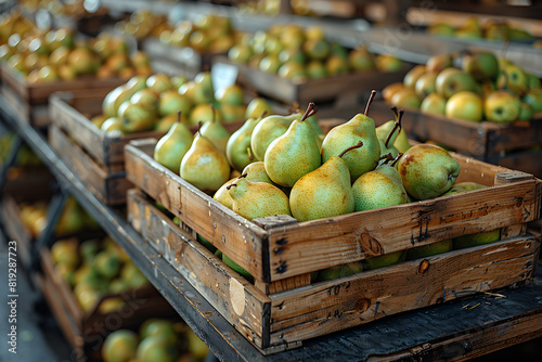 The harvested pear crop is packed in wooden boxes on the sorting line  ready for distribution at a bustling orchard during the peak of the harvest season