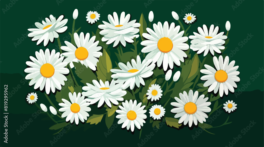 Vector green leaves meadow flowers - daisy chamomil