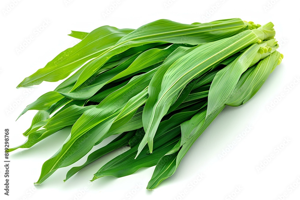 A bunch of green leaves on a white surface A bunch of green leaves on a white surface