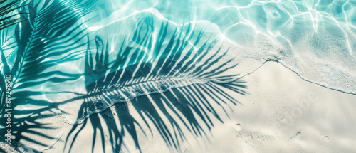 Swimming pool or sea, ocean with water, shadow of palm leaves, summer, holiday