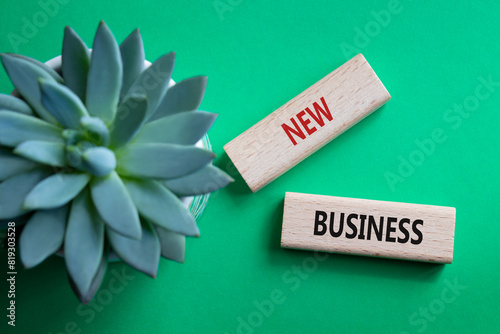 New business symbol. Concept words New business on wooden blocks. Beautiful green background with succulent plant. Business and New business concept. Copy space.