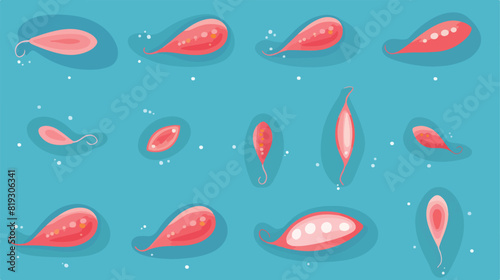 Vector normal spermatozoids concentration or number photo