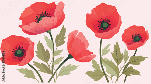 Vector red pastel colors poppy flower blooming temp