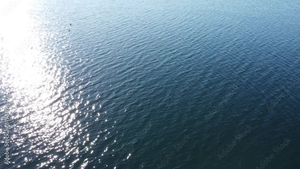 Fast flying birds over blue sea with sunshine reflection on surface, aerial video Fast flying birds over blue sea with sunshine reflection on surface, aerial video