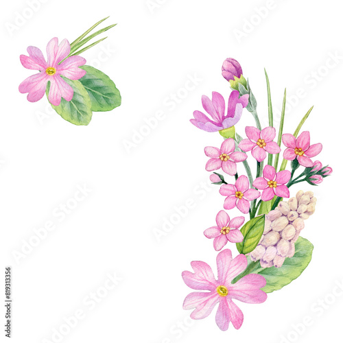 Watercolor painting spring flower arrangement forget me not flowers and pink primroses. Floral composition can be use as print, poster, postcard, invitation, greeting card, packaging design, label.