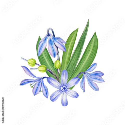 Watercolor painting spring flower arrangement with blue hyacinth flowers. Floral composition can be use as print, poster, postcard, invitation, greeting card, packaging design, label, floral element.