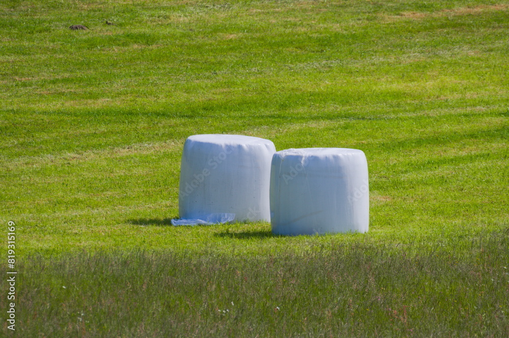 Straw and hay packages on the field. Preserved agriculture food for animals. Farming in Czech republic. First grass cutting of the year in spring. Straw and hay packages on the field. Preserved agriculture food for animals. Farming in Czech republic. First grass cutting of the year in spring.
