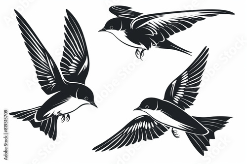 Set of swallows birds in flight set vector icon  white background  black colour icon