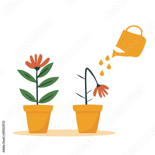 A dried flower is watered from a watering can.Orange watering can isolated on a white background. Gardening Tools. Flower growth concept.