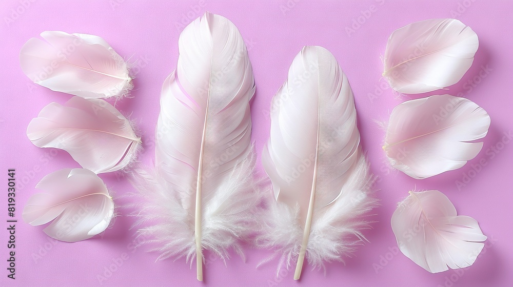 A cluster of white feathers atop a pink background with nearby scissors A cluster of white feathers atop a pink background with nearby scissors