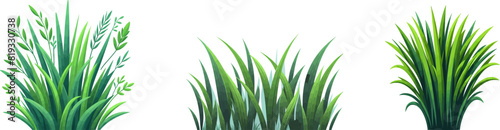 Green grass vector elements. Bunch of spring grass with flowers. Realistic meadow . Green field. Spring botanical elements . Tufts of gardens plants .Lawn grass. Spikelet