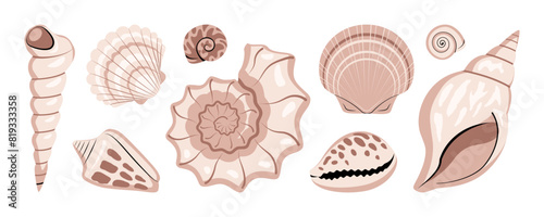 Sea shells collection isolated on white background. Set of beige and brown decorative conches of mollusks. Vector illustration in flat style.