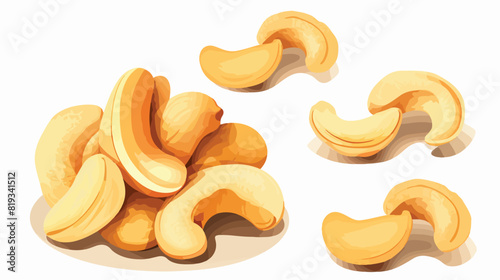Whole and peeled cashew nuts vector illustration is
