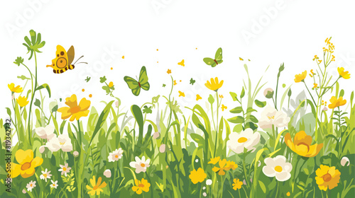 Wild Green grass backgrounds borders with flowers b