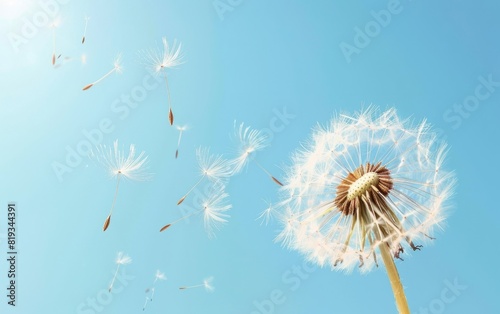 Dandelion seeds drifting in a clear blue sky.