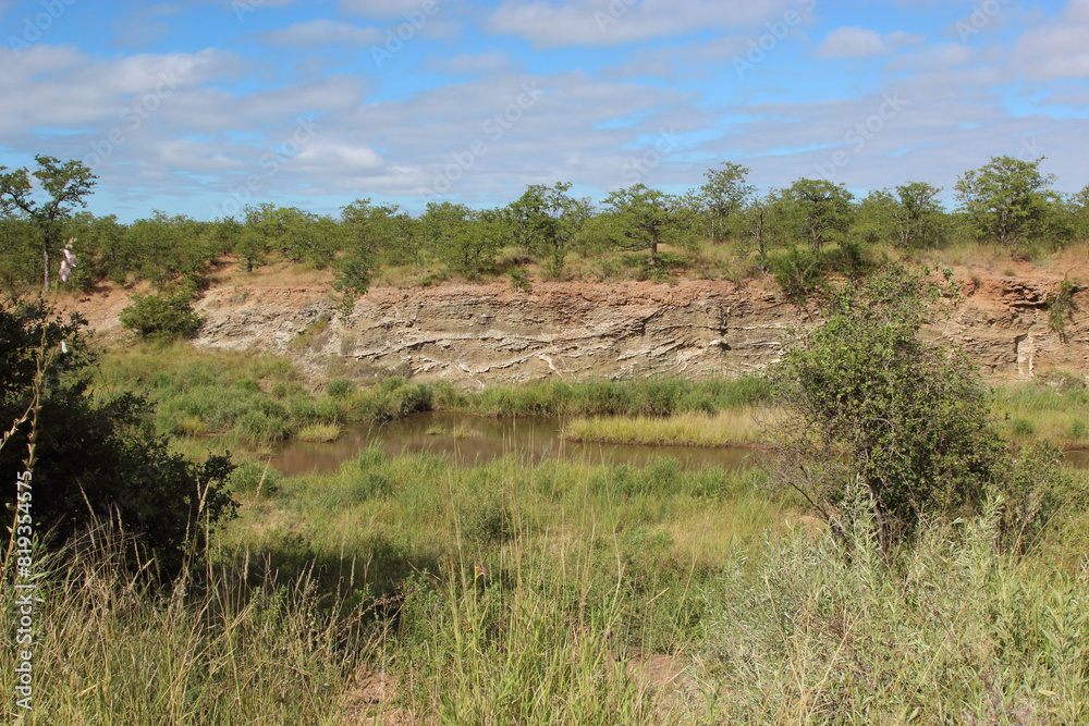 Krüger Park - Afrikanischer Busch / Kruger Park - African bush / Krüger Park - Afrikanischer Busch / Kruger Park - African bush /