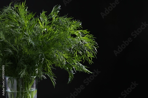 Fresh dill in glass on black background  closeup. Space for text