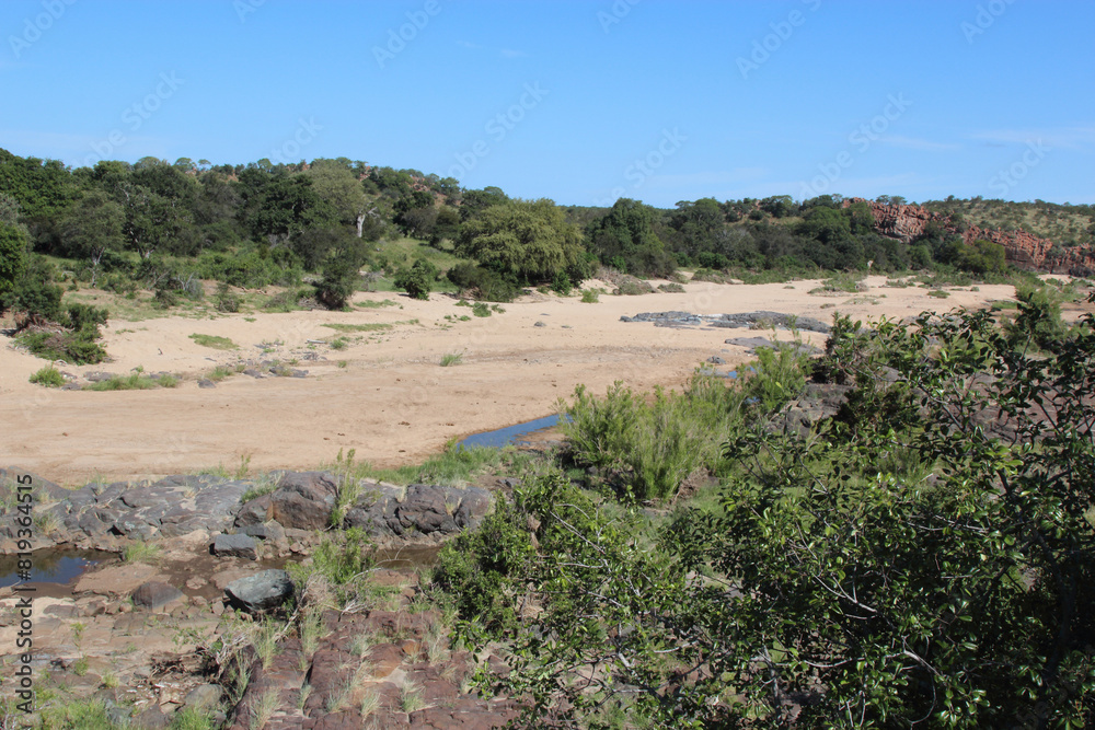 Afrikanischer Busch - Krügerpark - Timbavati River / African Bush - Kruger Park - Timbavati River / Afrikanischer Busch - Krügerpark - Timbavati River / African Bush - Kruger Park - Timbavati River /