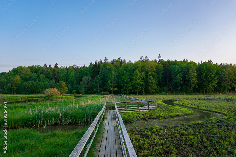 High angle view of wooden bridge over a field High angle view of wooden bridge over a field