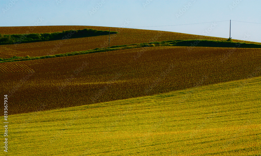 Fototapeta premium Lands of Monferrato, Piedmont, Italy