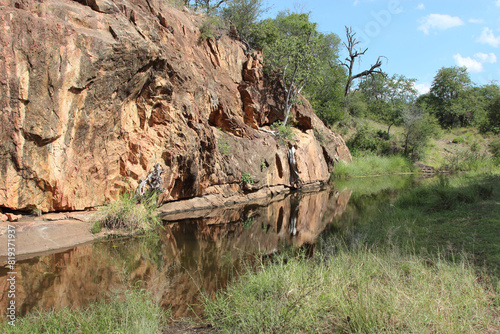 Krüger Park - Afrikanischer Busch / Kruger Park - African bush /