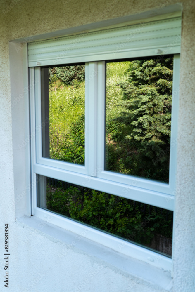 Framed Nature. Reflections of Trees in a White Window Glass Frame. Framed Nature. Reflections of Trees in a White Window Glass Frame.