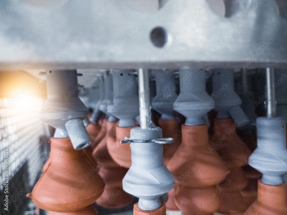 The suction cups eggs on the poultry hatchery machine for eggs candling ...