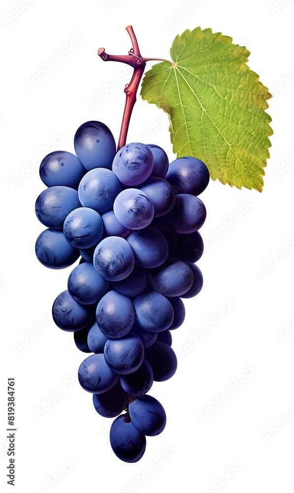 Fototapeta premium Blue grapes with leaf fruit on white background