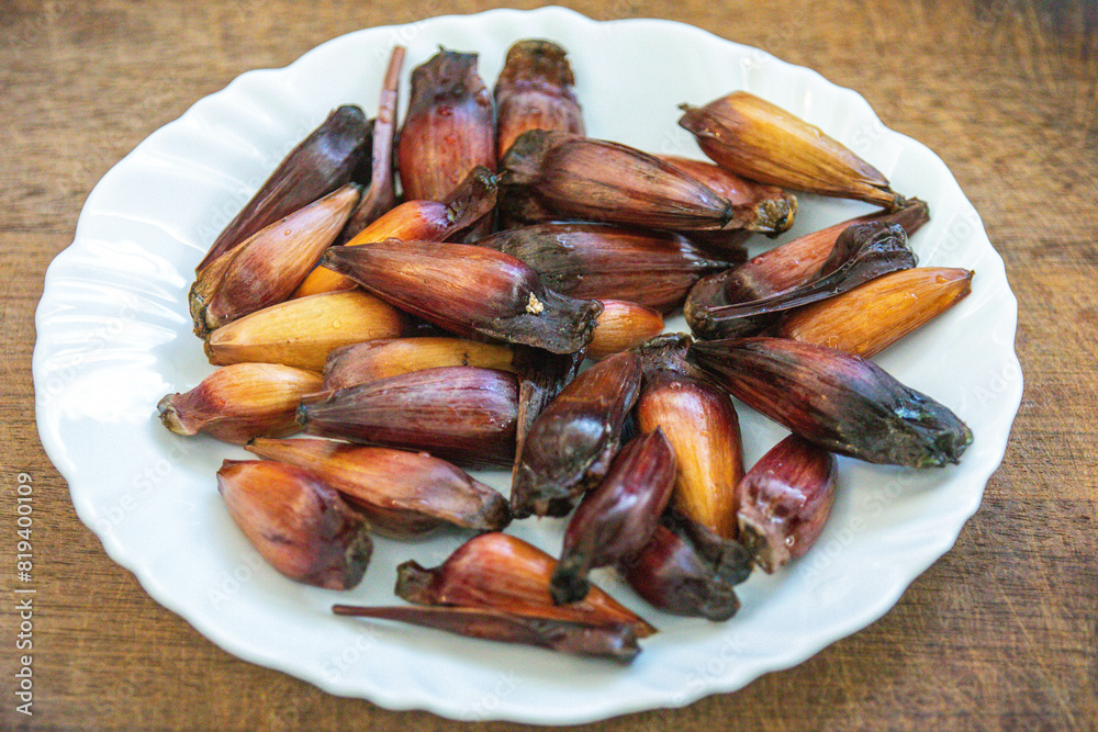 Pine nut fruit of Araucaria angustifolia, typical of the cold regions of Brazil Pine nut fruit of Araucaria angustifolia, typical of the cold regions of Brazil
