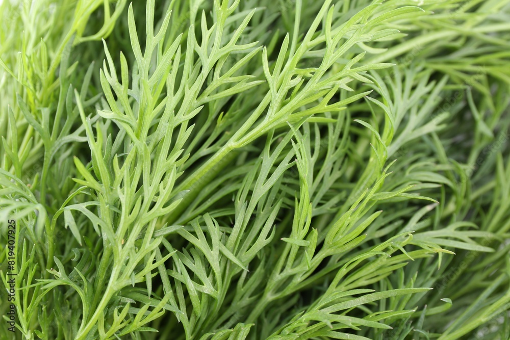 Sprigs of fresh dill as background, closeup view Sprigs of fresh dill as background, closeup view