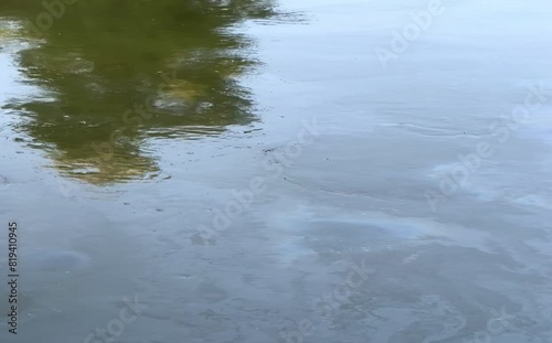 Household Wastewater Surface with Rainbow Oil Slicks, Sky, and Tree Reflection