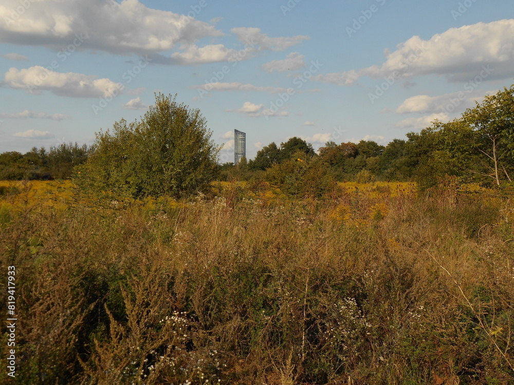 Obraz premium City landscape